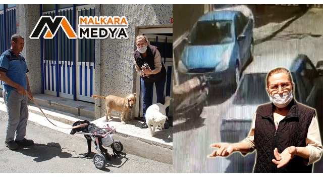 Malkara'da "Sinirden Ellerim Titriyor’" diyerek köpeğini ezen sürücüye tepki gösterdi