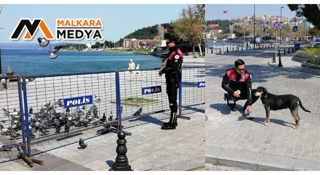 Sokakta insan olmayınca polis, köpek ve güvercinleri besledi