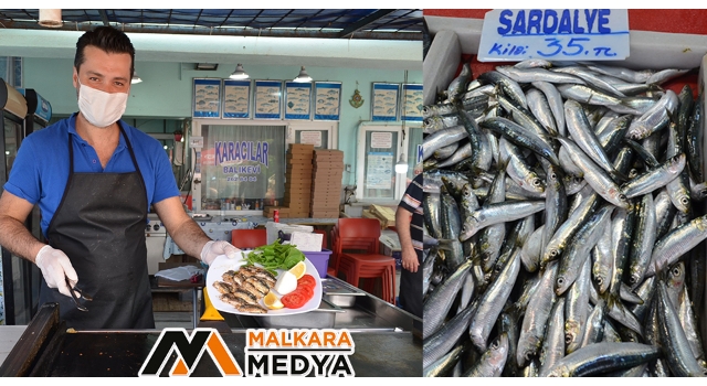 En lezzetli dönemine giren sardalye Temmuz’da zirve yapacak
