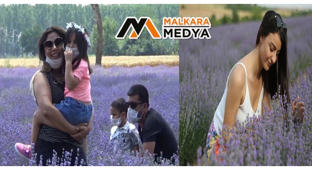 Gören tarlaya akın ediyor