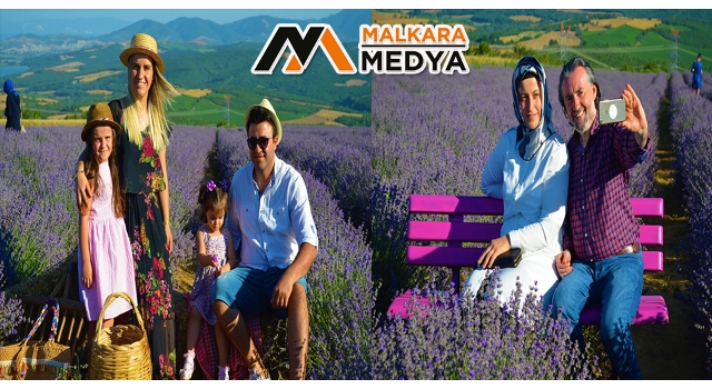 İstanbullular, Tekirdağ'daki mor tarlalara akın etti