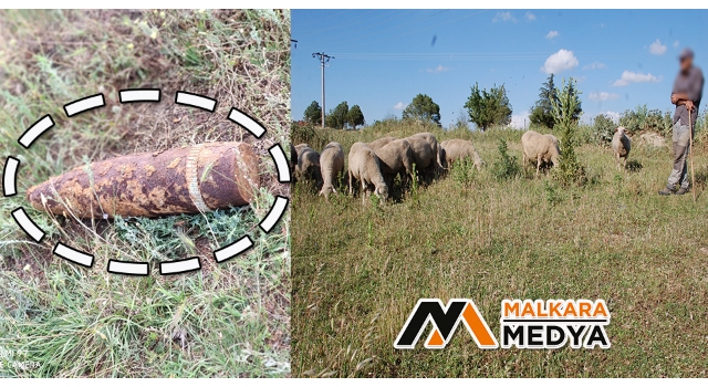 Malkara'da koyunları otlatırken patlamamış top mermisi görünce şok oldu