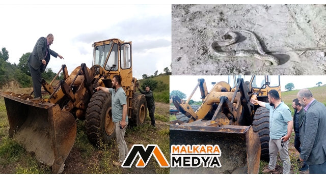 Malkara'da yılanın korkusuna 3 saat kepçeye binemediler