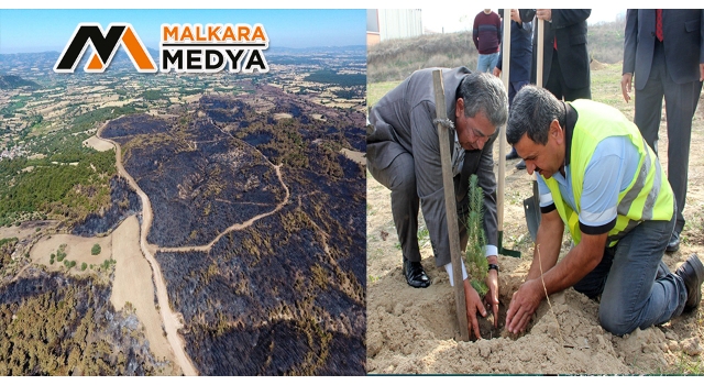 Çanakkale’de yanan ormanlık alan yeniden ağaçlandıracak