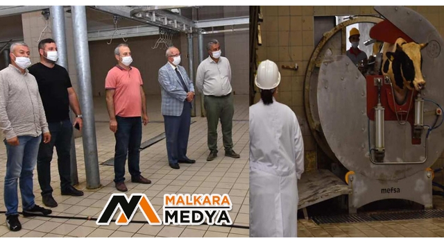 Çavuşköy Et Kombina Tesisi Kurban Bayramına Hazır