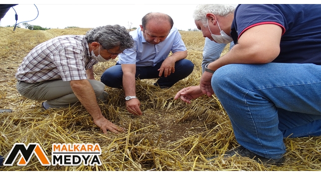 Hasatta tane kaybına geçit yok