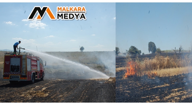 Malkara'da 500 dönüm anız alev alev yandı