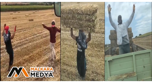 Malkara'da sıcaktan bunalınca tarlada göbek atıp oynadılar
