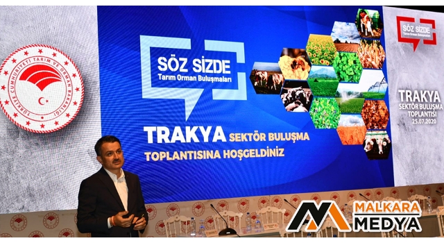 Pakdemirli: "Ayçiçeği yağ desteğini arttırdık"
