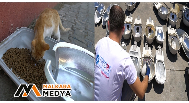 Sokak hayvanları için armatür başlıklı proje