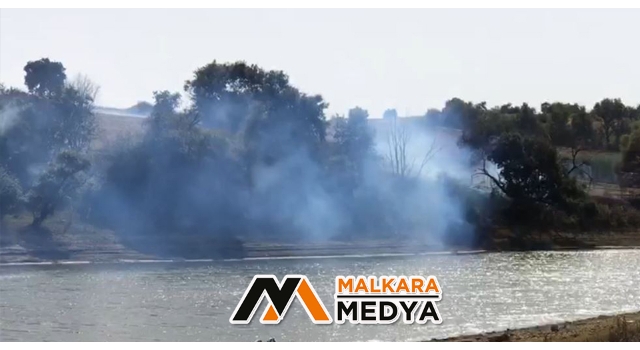 Malkara'da anız yangını ağaçlık alana sıçradı