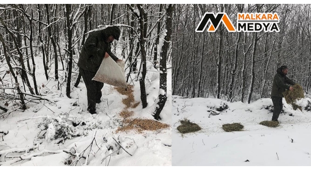 Karlı günlerde yaban hayvanları için doğaya 200 kilogram yem bırakıldı