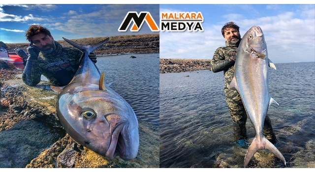 Rekortmen dalgıç, 27 kiloluk dev akyayı avladı