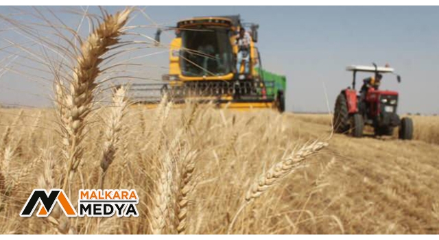 2021 Hububat ve Bakliyat Alım Fiyatları Açıklandı
