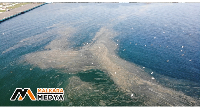 Marmara’da endişelendiren görüntü: Deniz salyası Marmara’yı turuncuya boyadı