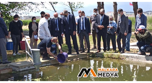 İpsala’da yılda 5 milyon balık üretimi yapılıyor