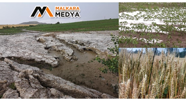 Malkara'da dolu yağışı, yüzlerce dekar ekili alana zarar verdi