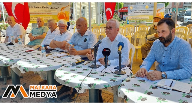 Orman yangınları çam balı üretiminin 40 yılını tehlikeye attı