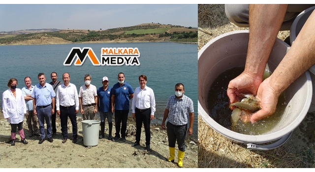 Tekirdağ'da son 3 yılda yarım milyon sazan yavrusu göletlere bırakıldı