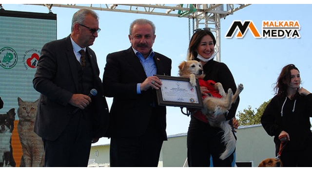 TBMM Başkanı Şentop, Trakya’nın en büyük sokak hayvanları geçici bakım evini açtı