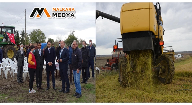 Tekirdağ'da ilk defa damla sulama ile çeltik hasadı yapıldı