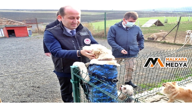 Köpek eğitim ve papağan üretim merkezleri ruhsatlandırıldı