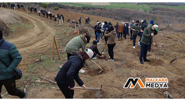 Tekirdağ'da 300 bin fidan toprakla buluşturuldu