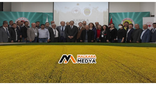 Ülkedeki yağ açığının giderilmesi için kanola üzerine tartışılıyor: Dayanıklılık ve daha fazla yağ