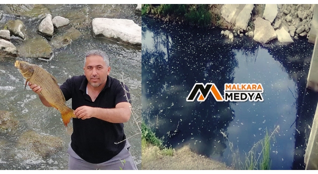Malkara'da Balık Ölümleri Korkutuyor