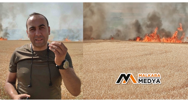 Malkara’da 300 dönüm buğday tarlası alev alev yandı