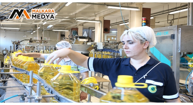 Trakya’da yıllık 180 bin ton ham yağ üretimi yapılıyor