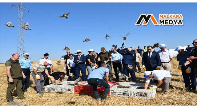 Tekirdağ’ın 40 mahallesinde doğaya 800 keklik salındı