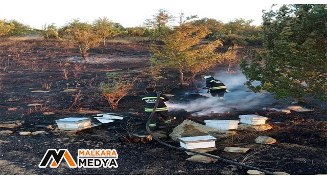 Malkara'da binlerce arı diri diri yandı: 15 yıllık emek kül oldu