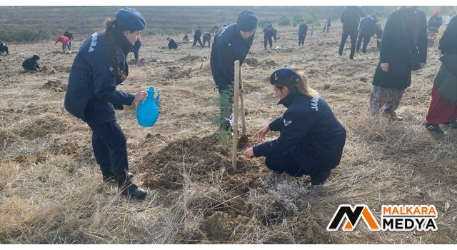 Tekirdağ’da 1 yılda 693 bin fidan dikilecek