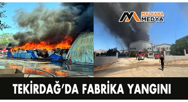 Tekirdağ’da fabrika yangını