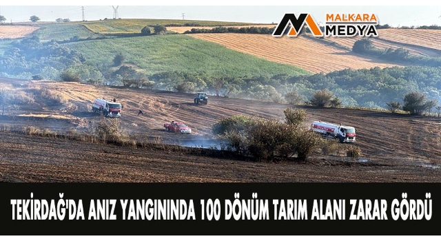 Tekirdağ'da anız yangınında 100 dönüm tarım alanı zarar gördü