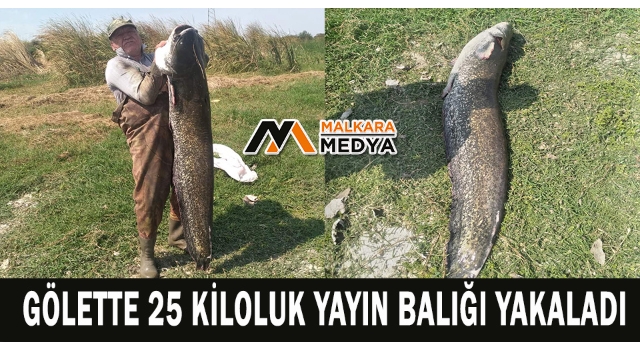 Gölette 25 kiloluk yayın balığı yakaladı
