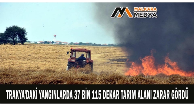 Trakya'daki yangınlarda 37 bin 115 dekar tarım alanı zarar gördü