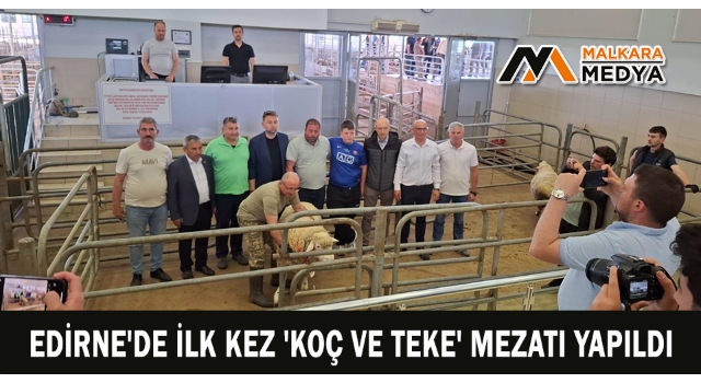 Edirne'de ilk kez 'Koç ve Teke' mezatı yapıldı