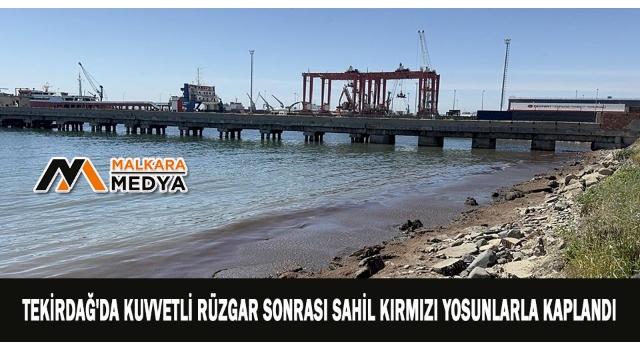 Tekirdağ'da kuvvetli rüzgar sonrası sahil kırmızı yosunlarla kaplandı