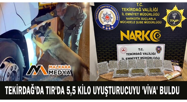 Tekirdağ'da TIR'da 5,5 kilo uyuşturucuyu 'VİVA' buldu