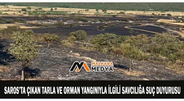 Saros’ta çıkan tarla ve orman yangınıyla ilgili savcılığa suç duyurusu