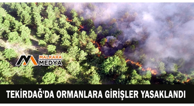 Tekirdağ'da ormanlara girişler yasaklandı