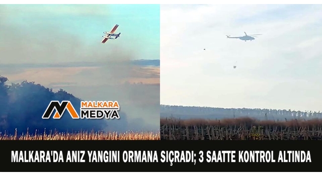 Malkara'da anız yangını ormana sıçradı; 3 saatte kontrol altında