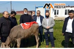 "Biz Bize Yeteriz Türkiyem" kampanyasına büyükbaş hayvanını bağışladı