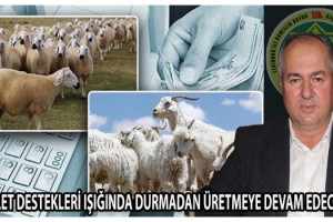 Cemalettin Toluca; Tekirdağ'da da 947 Üreticimize “SÜRÜ BÜYÜTME ve YENİLEME ” desteğinden 1 Milyon 840 Bin TL