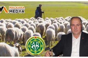 Çoban Destekleri “5 Bin TL” Hesaplara Yattı