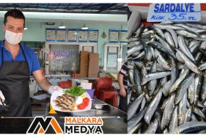 En lezzetli dönemine giren sardalye Temmuz’da zirve yapacak