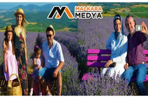 İstanbullular, Tekirdağ'daki mor tarlalara akın etti