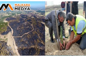 Çanakkale’de yanan ormanlık alan yeniden ağaçlandıracak